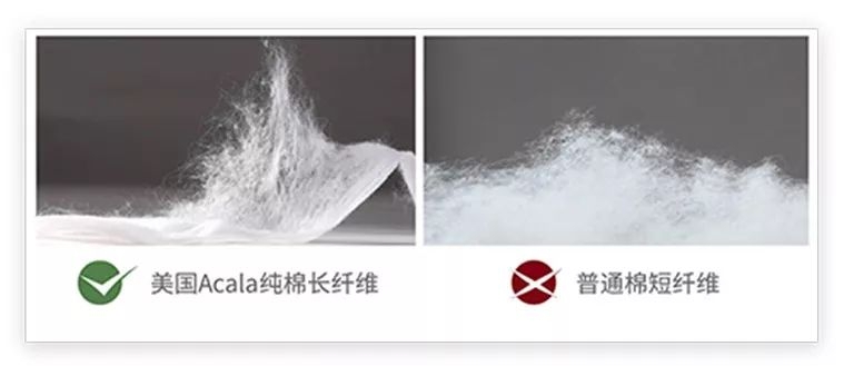 再见，我的毛巾时代