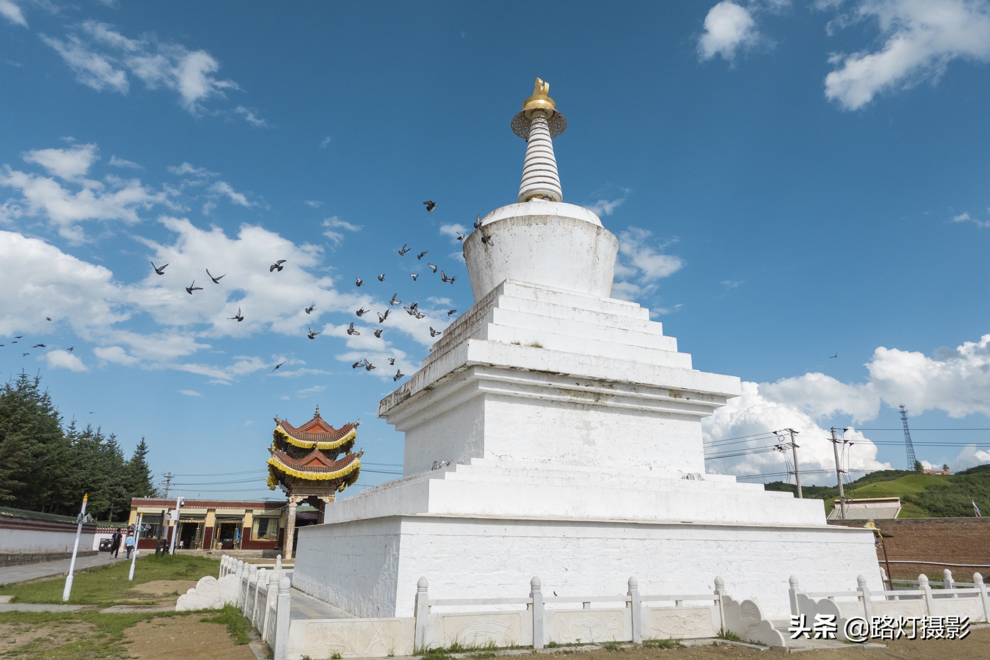 惊艳！八月最佳旅行地，“绝色甘南”美成仙境，所有景区免门票
