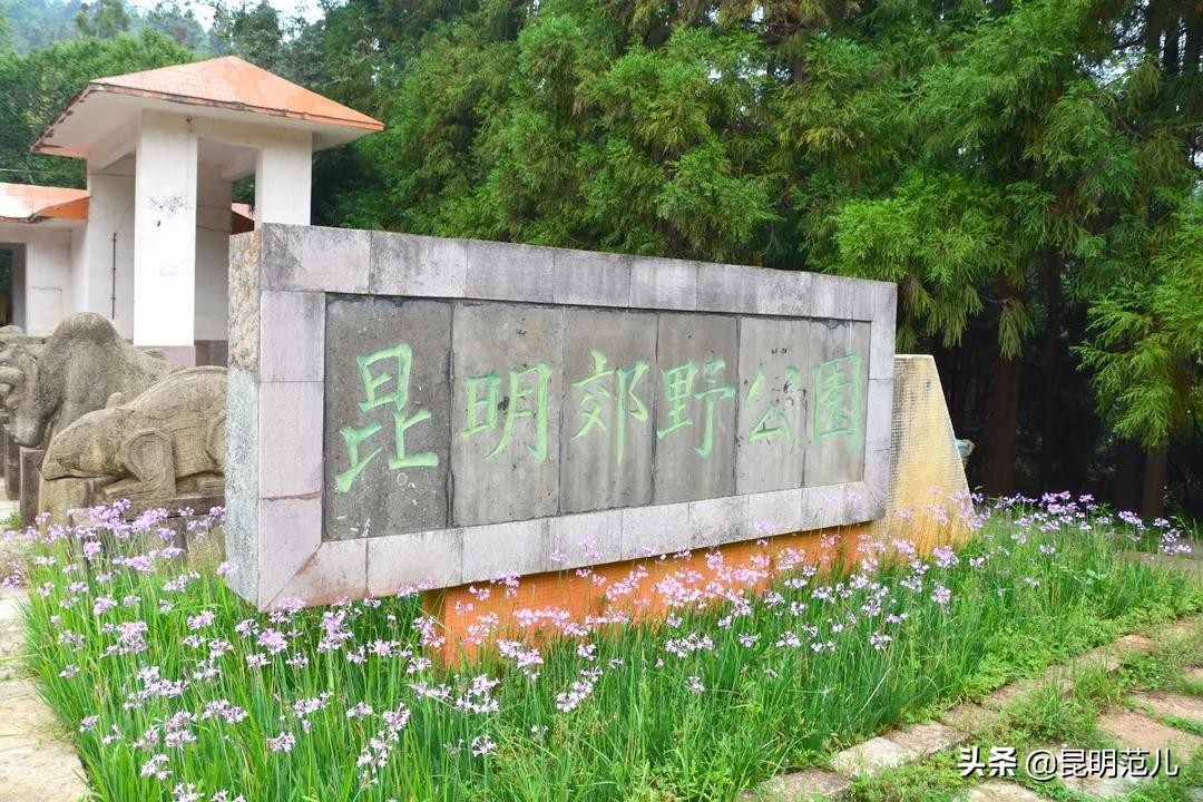 去昆明玩自驾的路线推荐图,昆明周边自驾游最佳线路