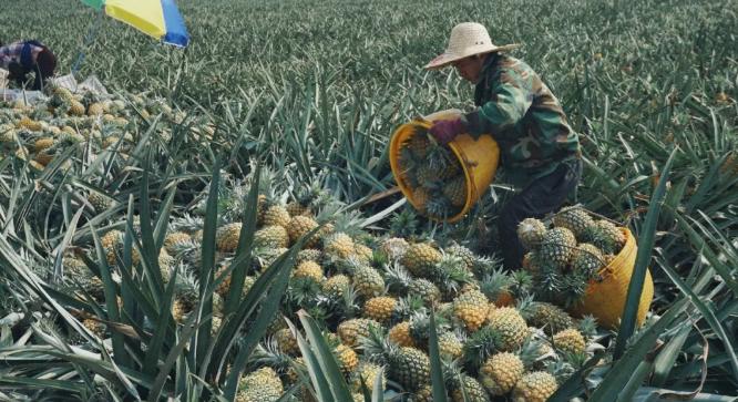 最近旅游好去处推荐,周边好玩的地方推荐一日游