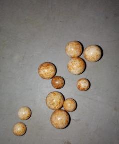 考古挖出舍利子,专家解密舍利子