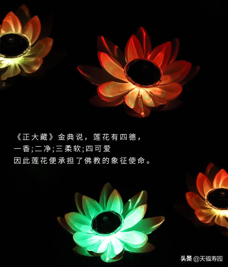 莲花灯什么说法,莲花灯来源是什么