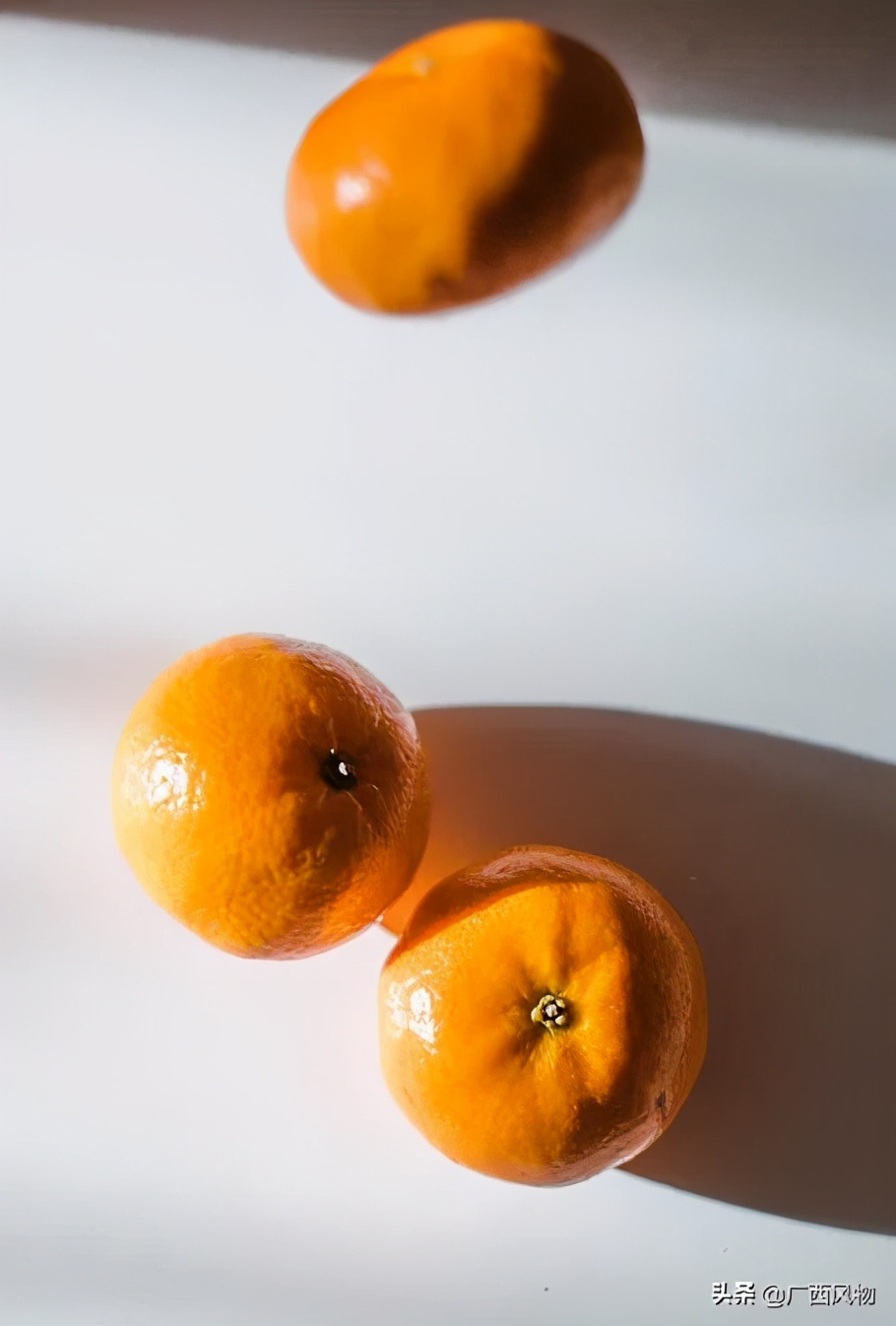 沃柑的最新吃法,沃柑做好看的东西