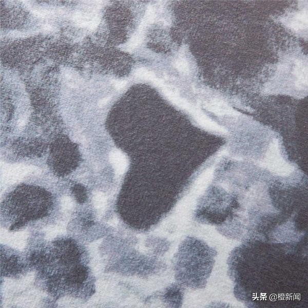 大阪海洋馆小海豹,日本大阪海游馆