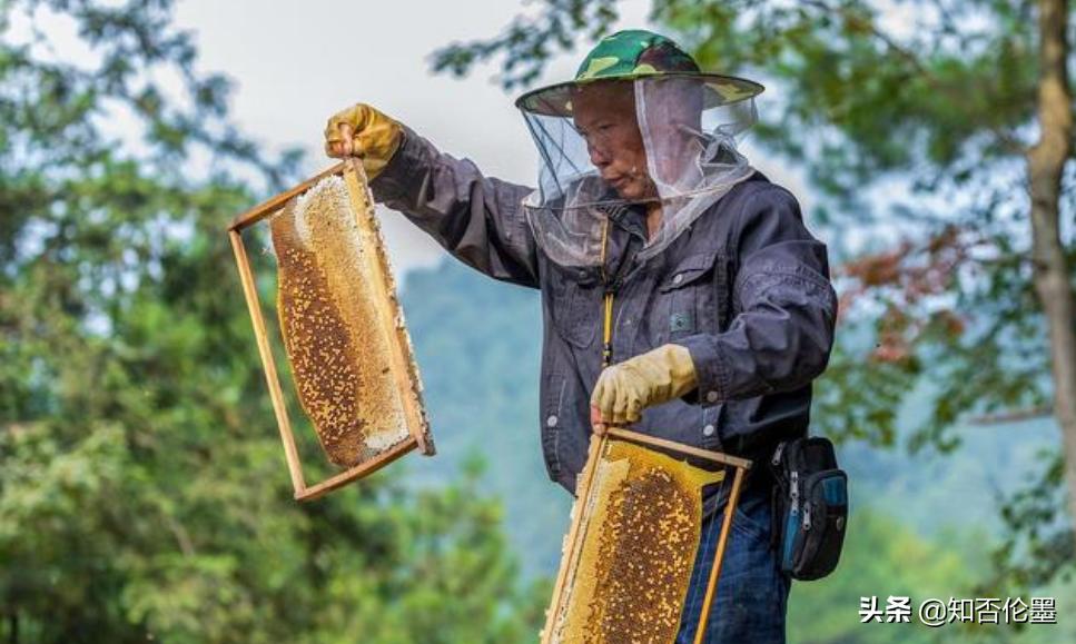 适合农村创业项目投资小的有哪些,农村最适合干什么生意赚钱投资小