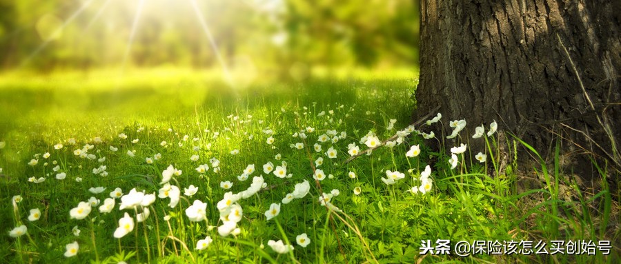 少儿平安福2017产品介绍,少儿平安福测评