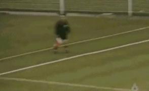 了解足球的发展史,了解足球各个赛事