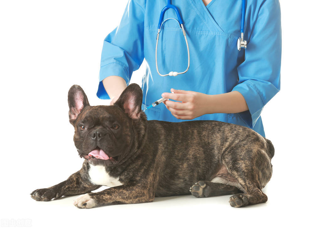 宠物店过来人的忠告,宠物店警告话术有哪些内容