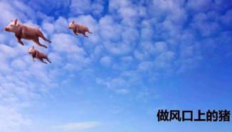 十大口碑好的生发产品,平价生发产品排名前十的有哪些