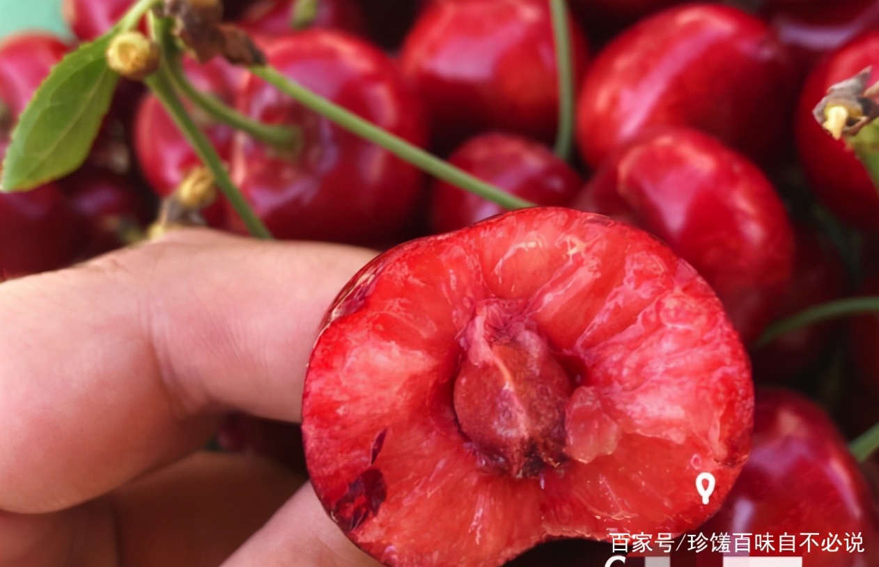 樱桃上市哪种最好吃,正在上市的樱桃品种