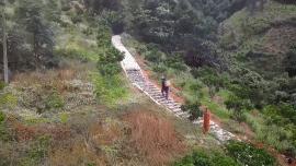 爷爷版李子柒视频评价,农村小伙子李子柒视频