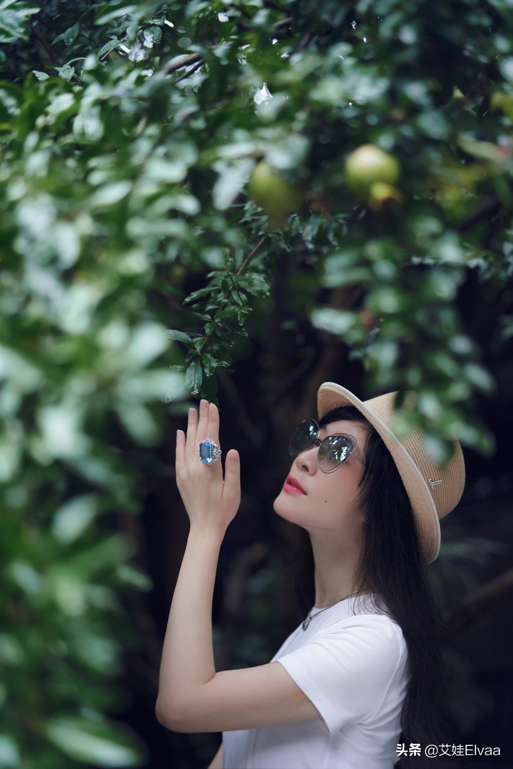 田海蓉生日晒美照 (田海蓉晒美照)