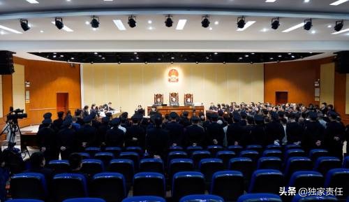 明星村官,明星村官电视剧全集在线观看