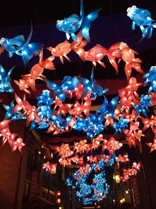 郑州有什么好玩的景点和地方,郑州好玩的地方排行榜一日游