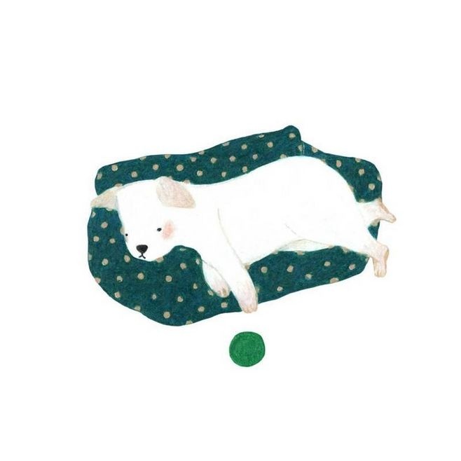 狗狗冷知识大合集视频,狗狗冷知识狗粮