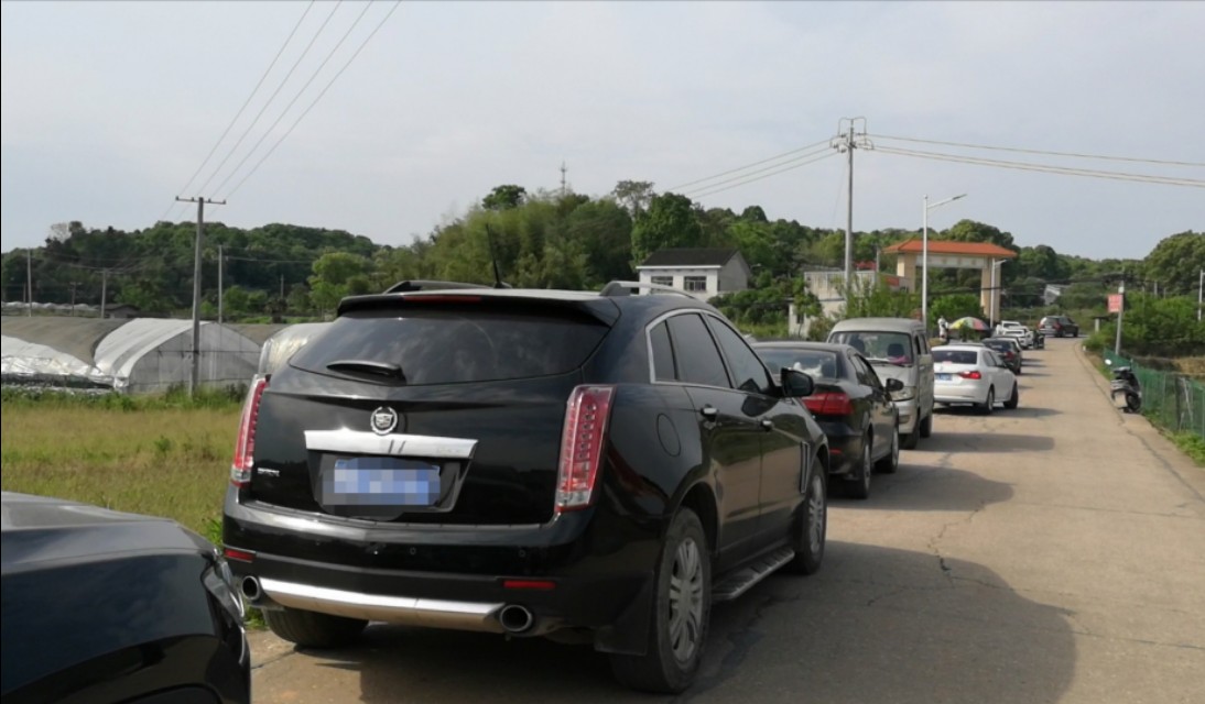 长沙附近摘草莓的地方在哪里,长沙开福区周边摘草莓的地方