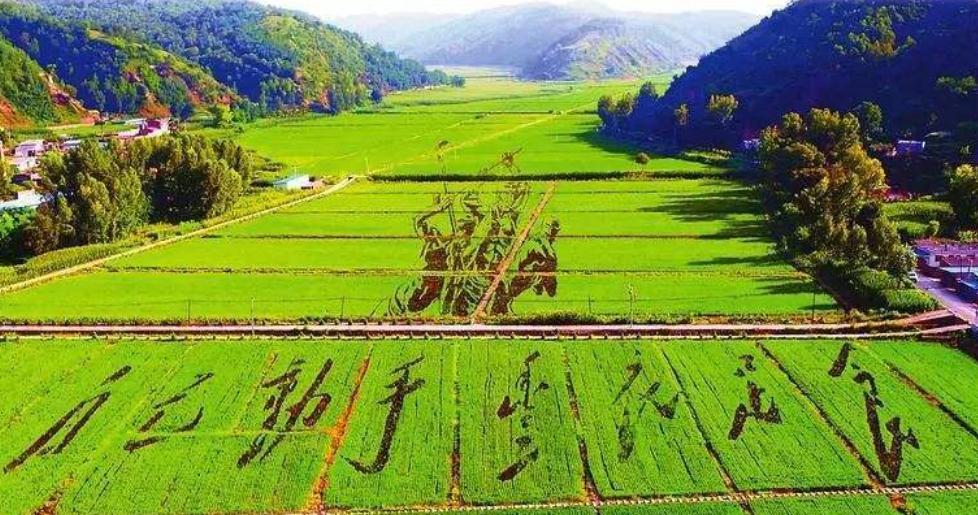 大生产运动主要内容,大生产运动实行军垦