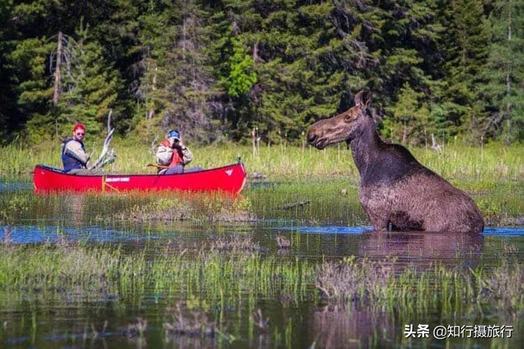 加拿大旅行41个最佳标志性景区目的地推荐攻略