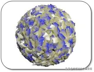 科研绘图流程模板,科研绘图教程