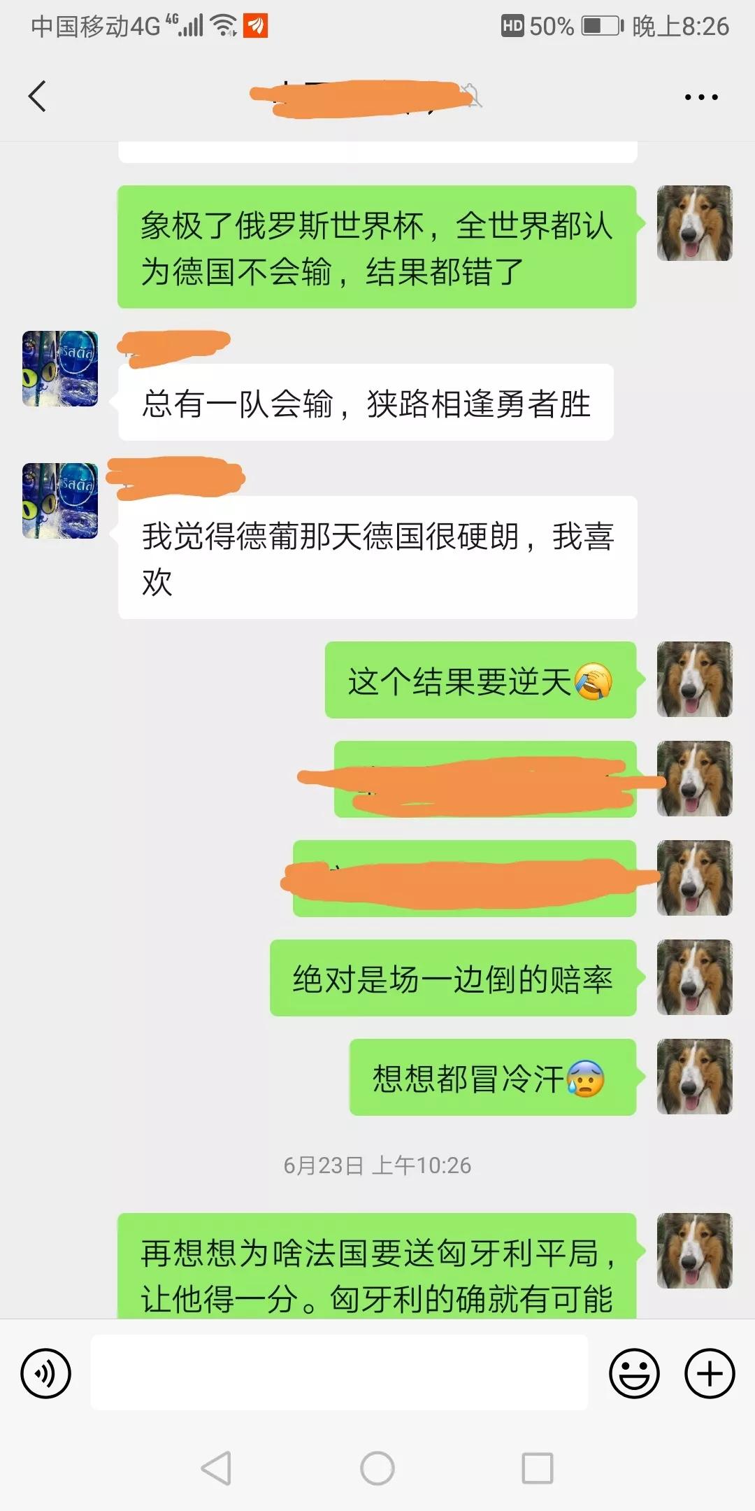 2024欧洲杯英格兰深度解析,2020欧洲杯死亡之组f组