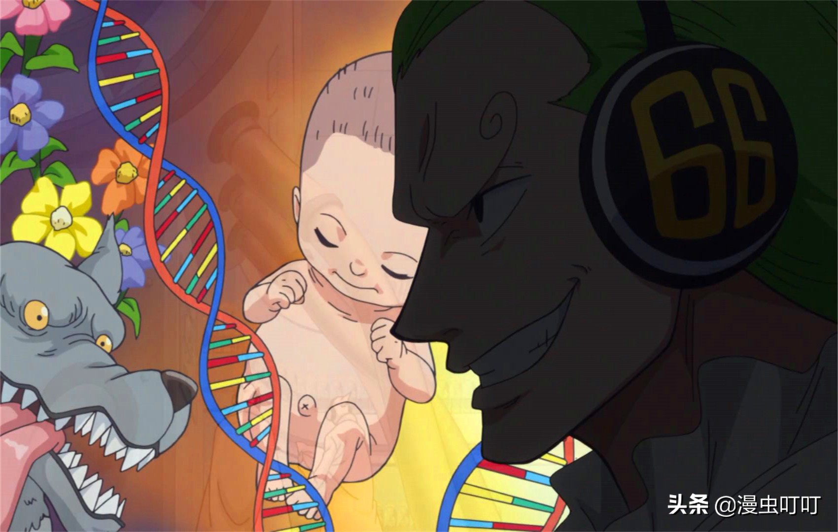 海贼王中的物品,海贼王为什么只能吃一个果实