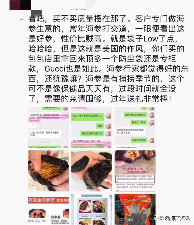 加拿大海参开袋即食,加拿大海参专卖店