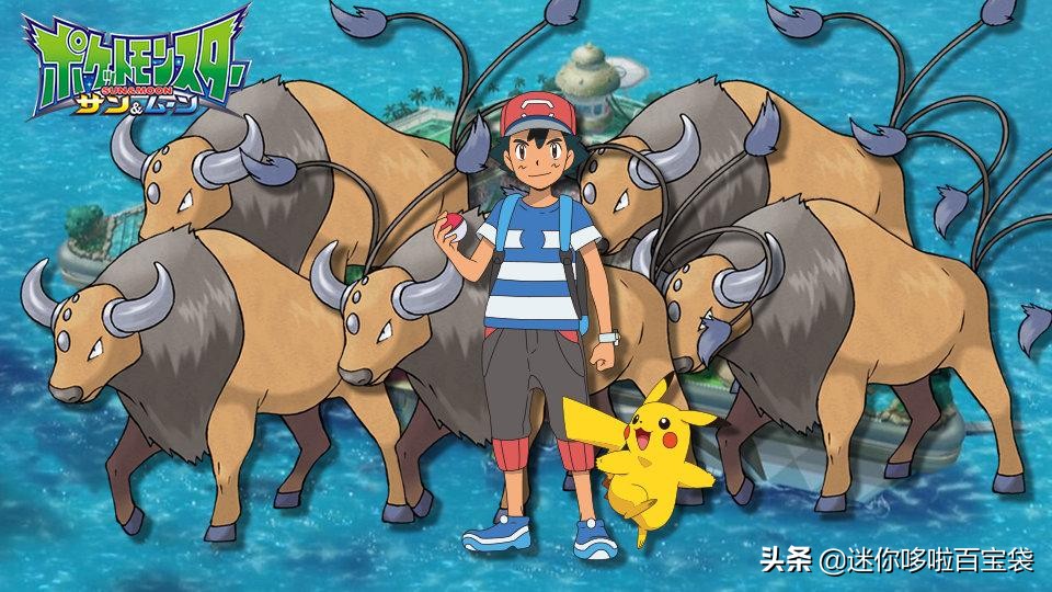 宝可梦里面的所有的宝可梦,宝可梦伊布全部进化形态