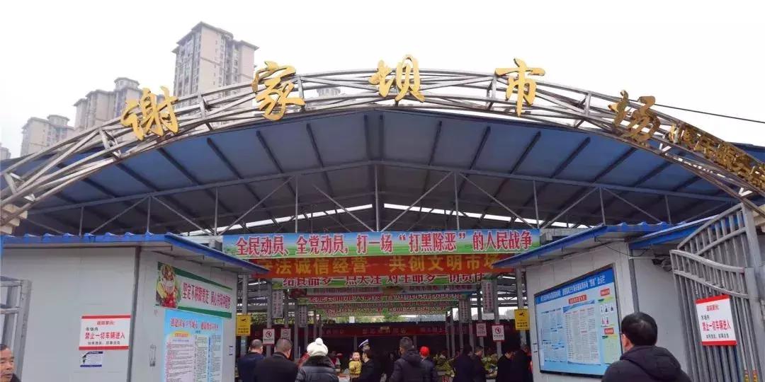 内江人挺住!一大波好消息、坏消息袭来!