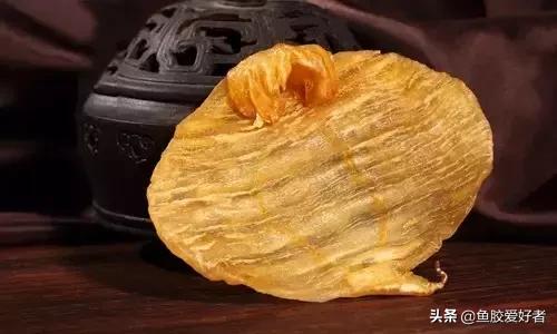 花胶涨发的正确方法,花胶的种类及区别