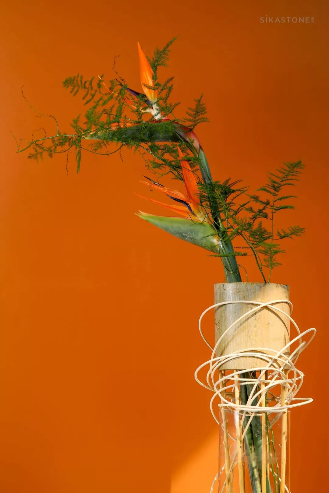 什么是真正的架构,架构思维方法