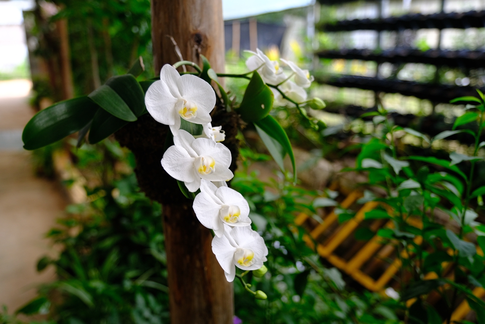 福建六鳌翡翠湾醉美沙滩,六鳌翡翠湾海滩