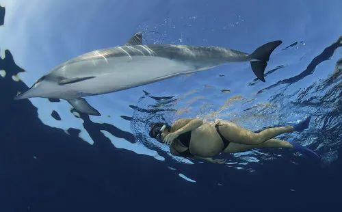 孕中期是否可以游泳,孕中期可以去游泳池游泳吗