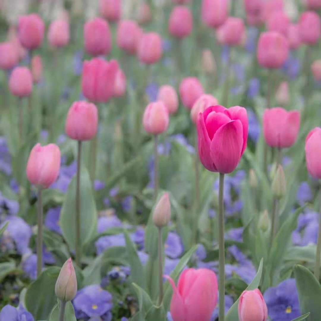 期货小白课,期货小白学习的书籍