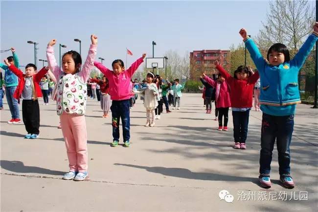 沧州派尼幼儿园学费,派尼幼儿园学费