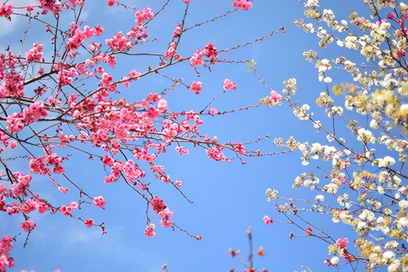 别着急属于你的东西早晚会来,属于你的缘分终究会到来