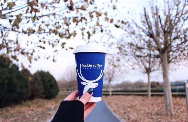 海底捞总裁张勇创业,餐饮首富张勇最新消息