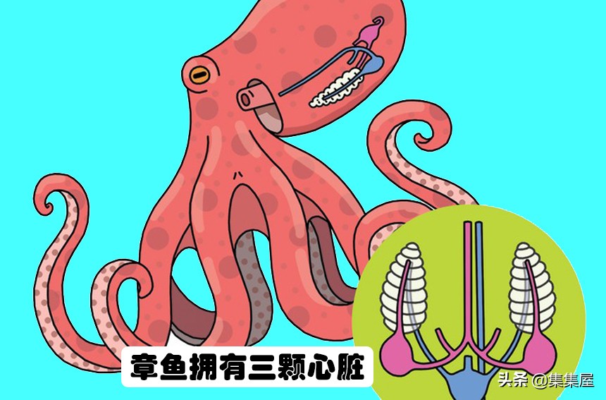 科普24个难以置信的冷知识,这九个冷知识据说只有1%的人知道