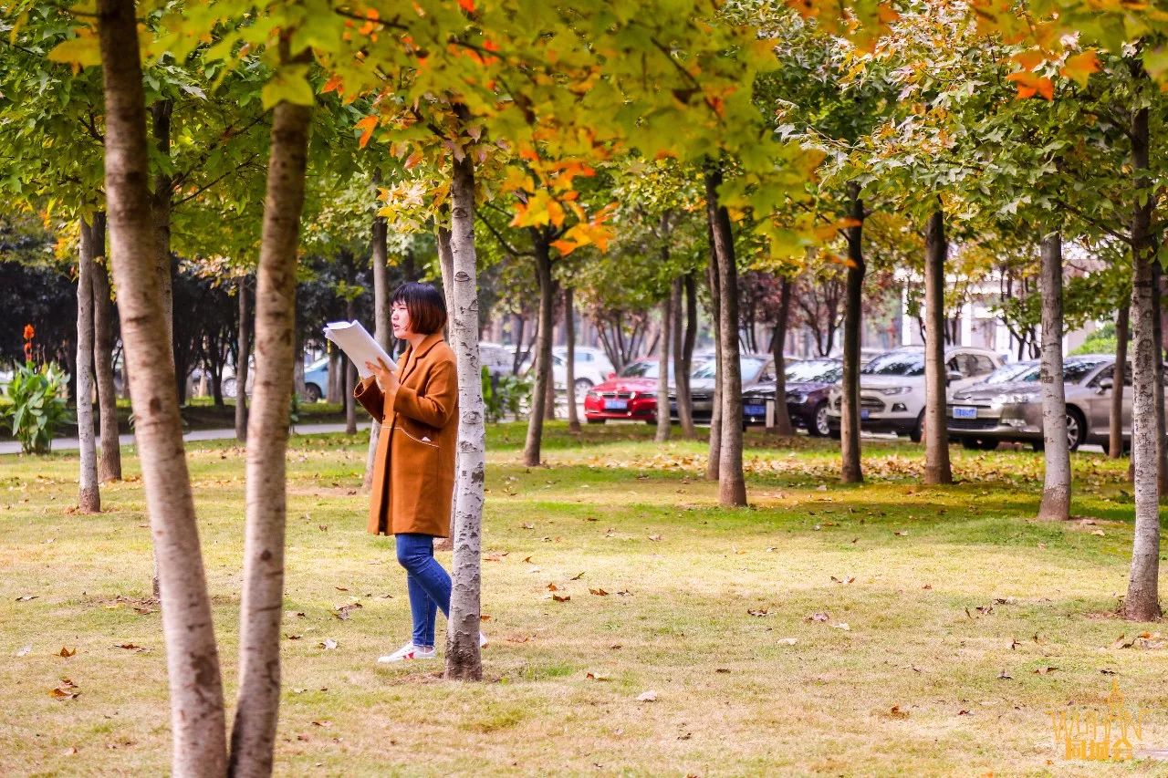 有一种低调叫霸气,湖北低调的本科学校