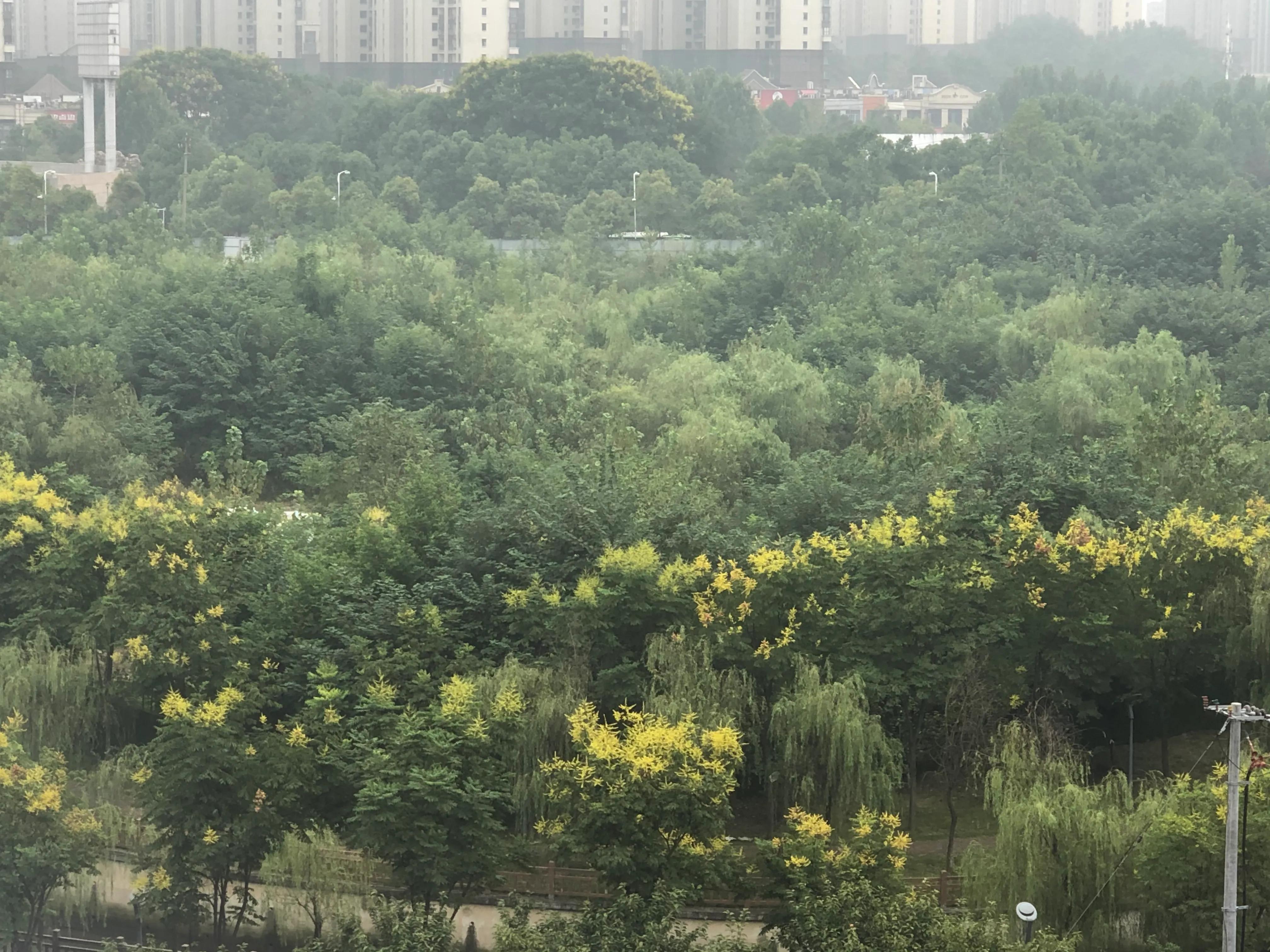 互相借鉴教学相长作文1000字,教学相长作文