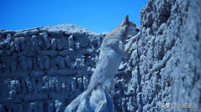 狼图腾对狼的赞美,狼图腾体现的人与自然和谐