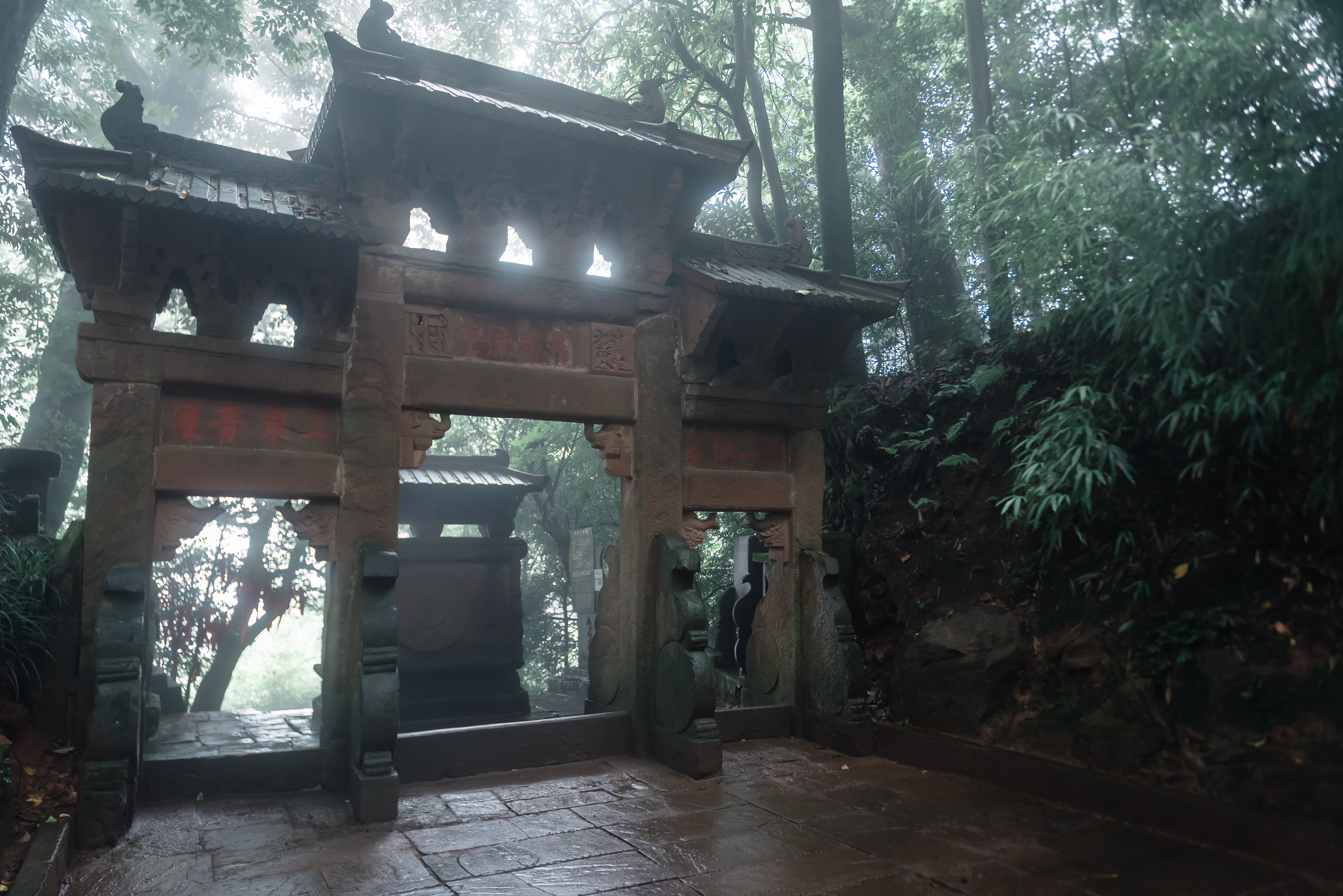 蒙顶山茶高山雀舌,蒙顶山茶叶有哪些