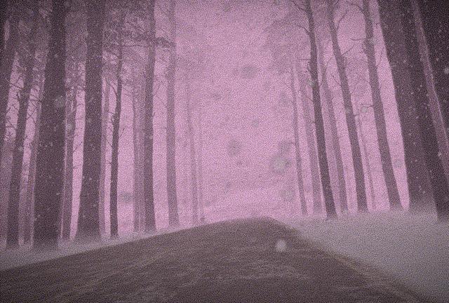 最近有什么不错的网站推荐,有什么超好用的网站