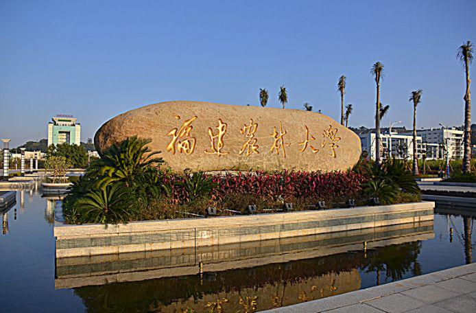 福建最牛的6所高校，有3所在福州，第1名毫无争议，考上就是赚到