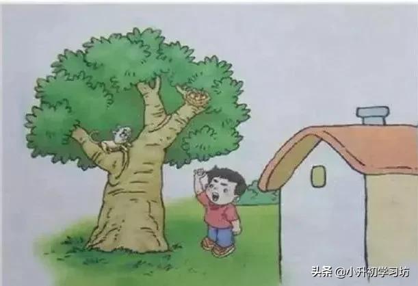 为什么孩子讨厌写看图写话,一年级看图写话会说不会写怎么办