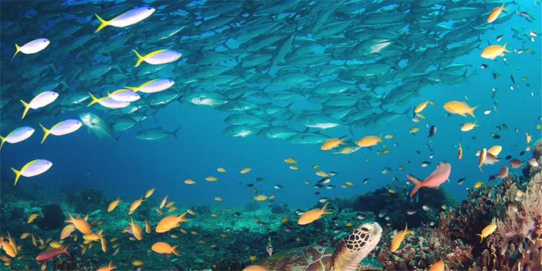 「适合12星座旅行地」射手适合冰岛，摩羯适合贝加尔湖