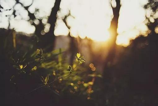 吃饭睡觉打豆豆合集,吃饭睡觉打豆豆笑话