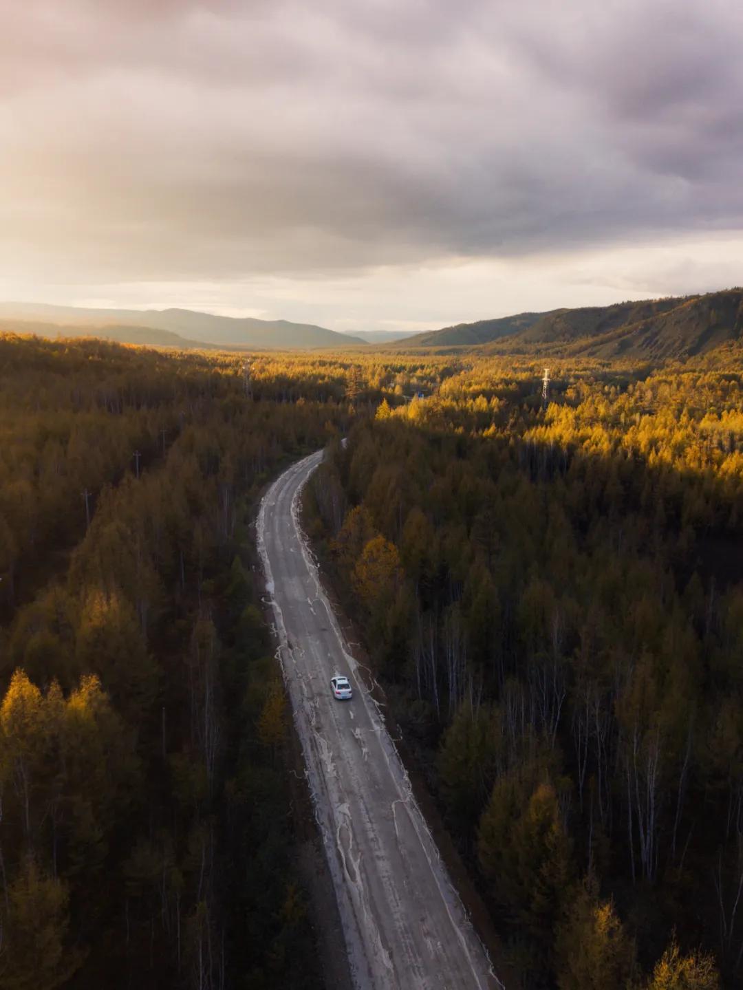 秋色正艳|掌握这6个小技巧，教你拍出绝美秋景