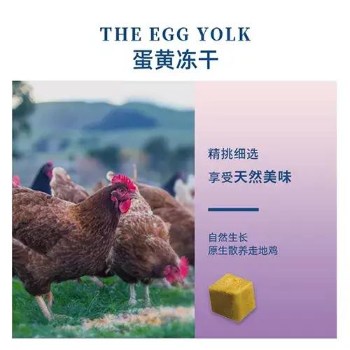 养狗需要学什么知识,养狗新手入门必知博美狗粮