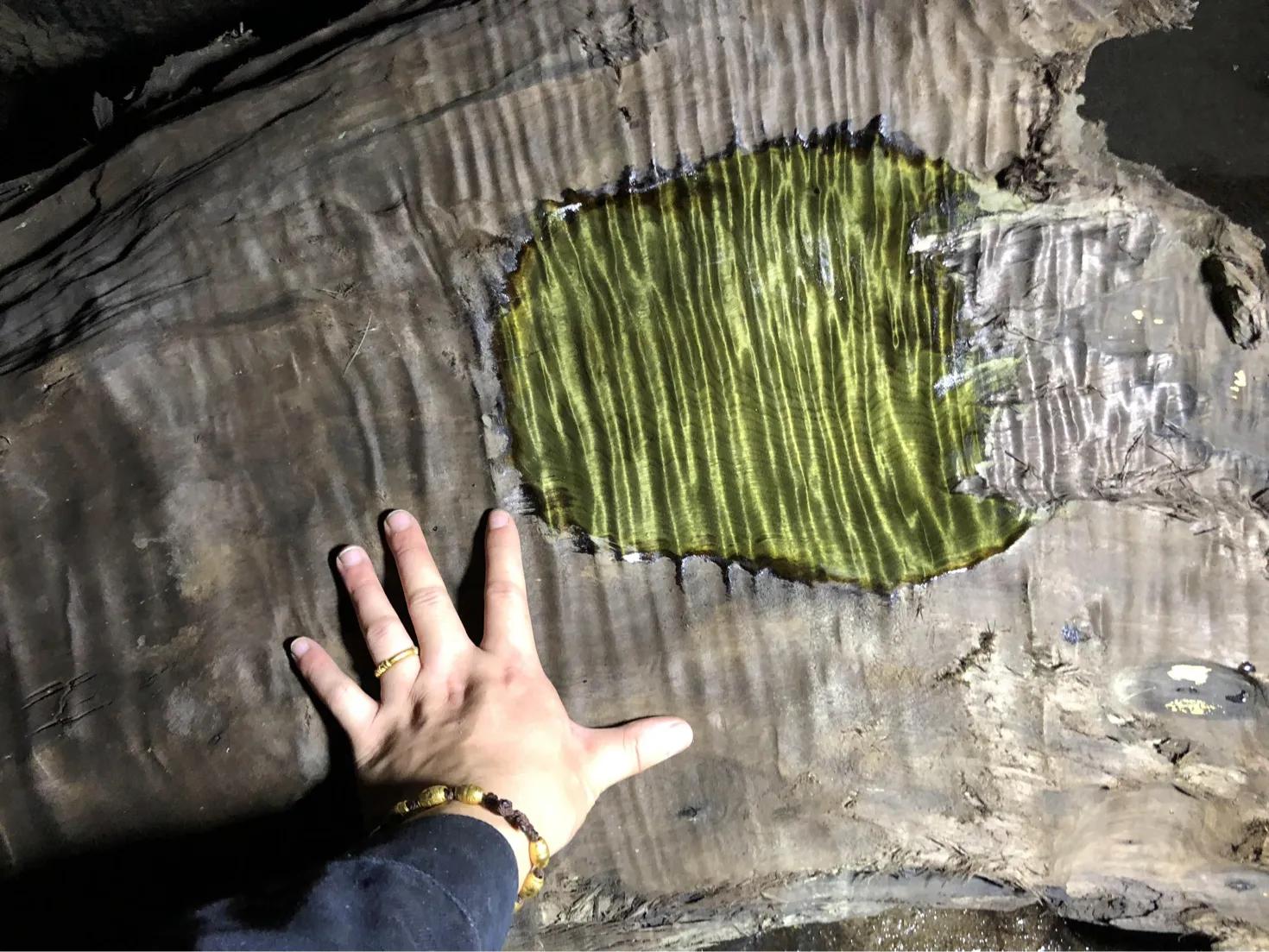 树瘤的价值与功效,榆木树瘤价值