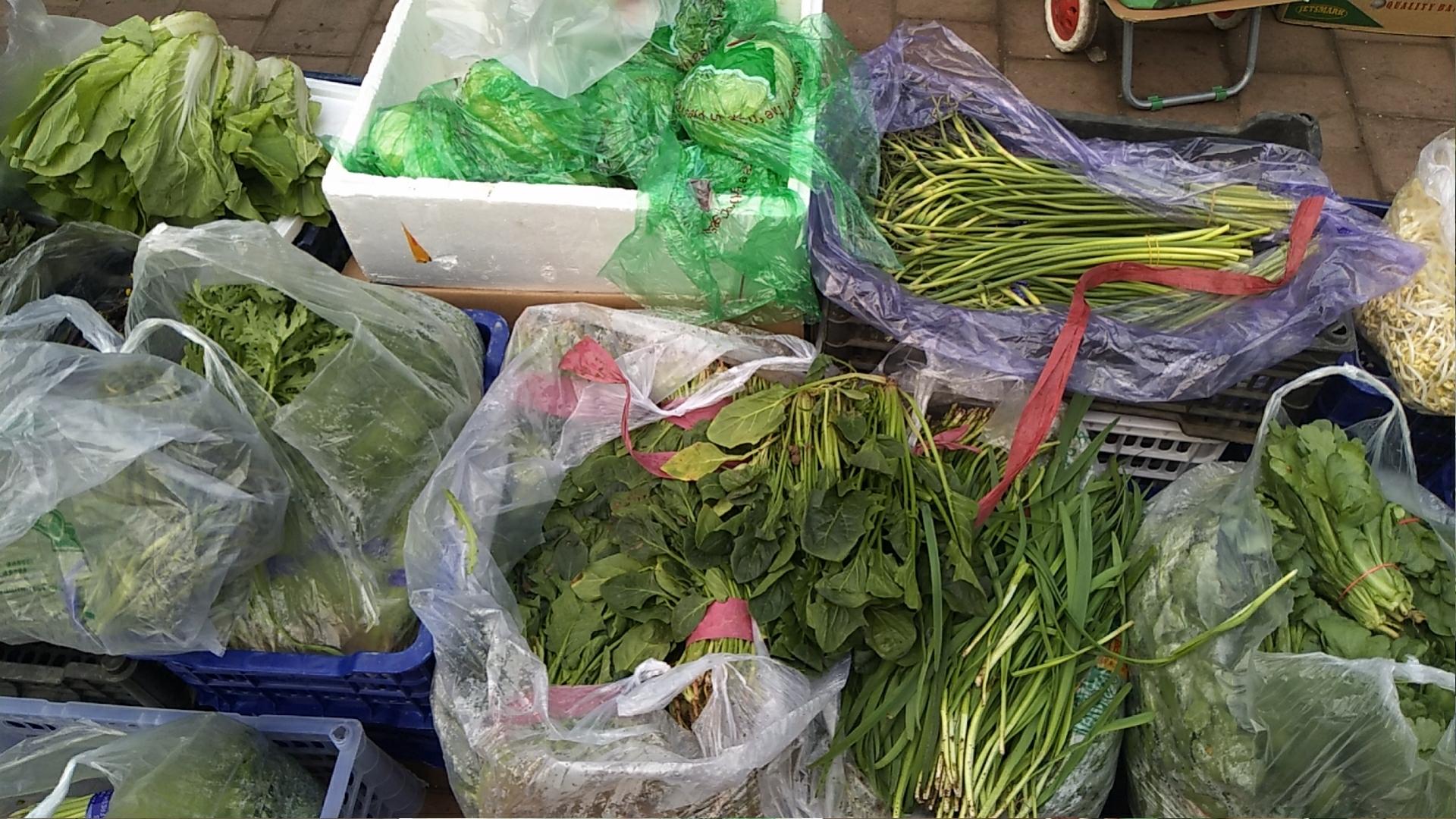 返京人员疫情防疫,抗击疫情医护人员陆续返乡